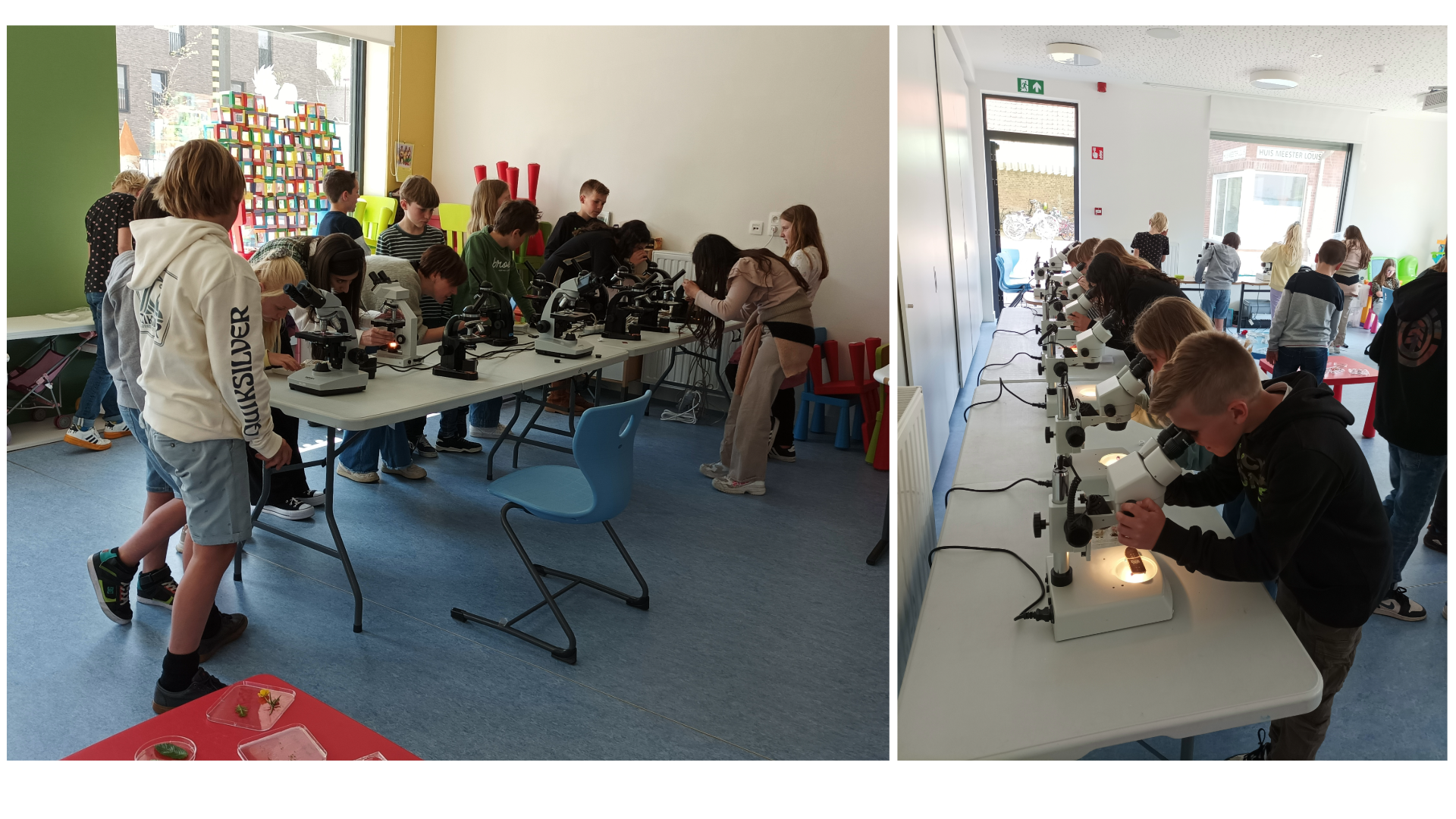 Evelien set out with her (stereo)microscopes to an elementary school, where 28 students were immersed in an 'Ik zie, ik zie wat jij niet ziet' workshop.