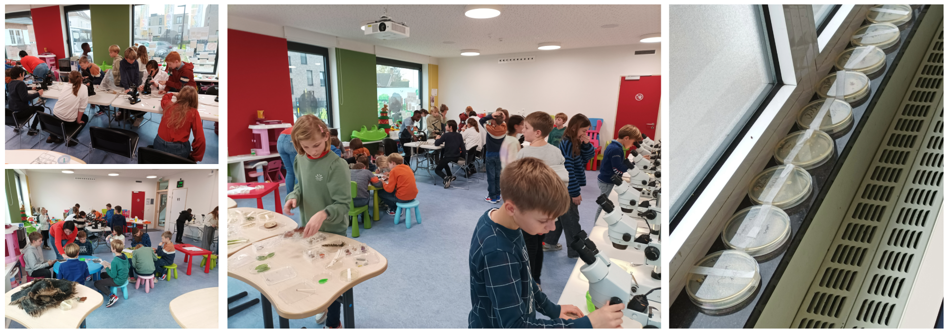 Evelien set out again with her (stereo)microscopes. Same school, roughly the same concept, other students.