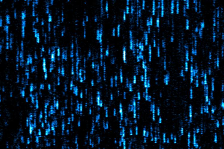 endocytosis kymograph